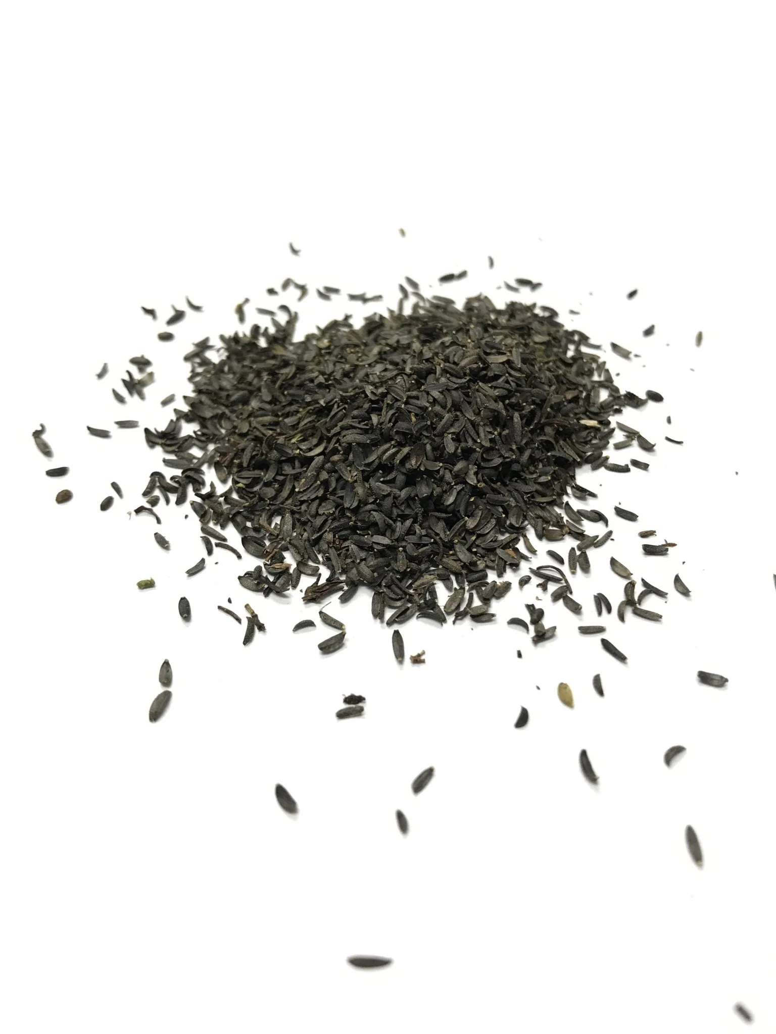 Plains Coreopsis/Calliopsis - 3212 - Image 3