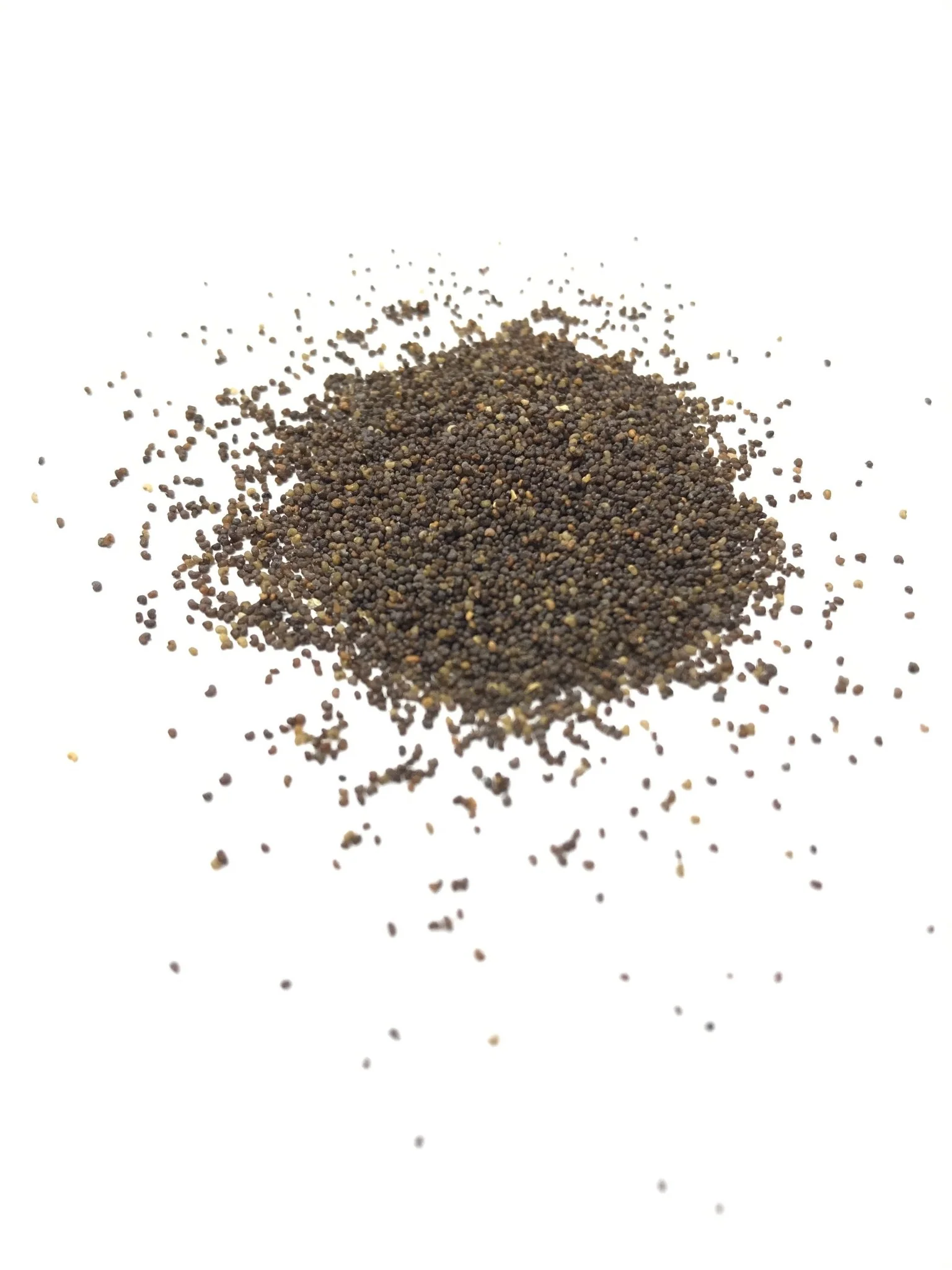 Red Corn Poppy - 3222 - Image 3