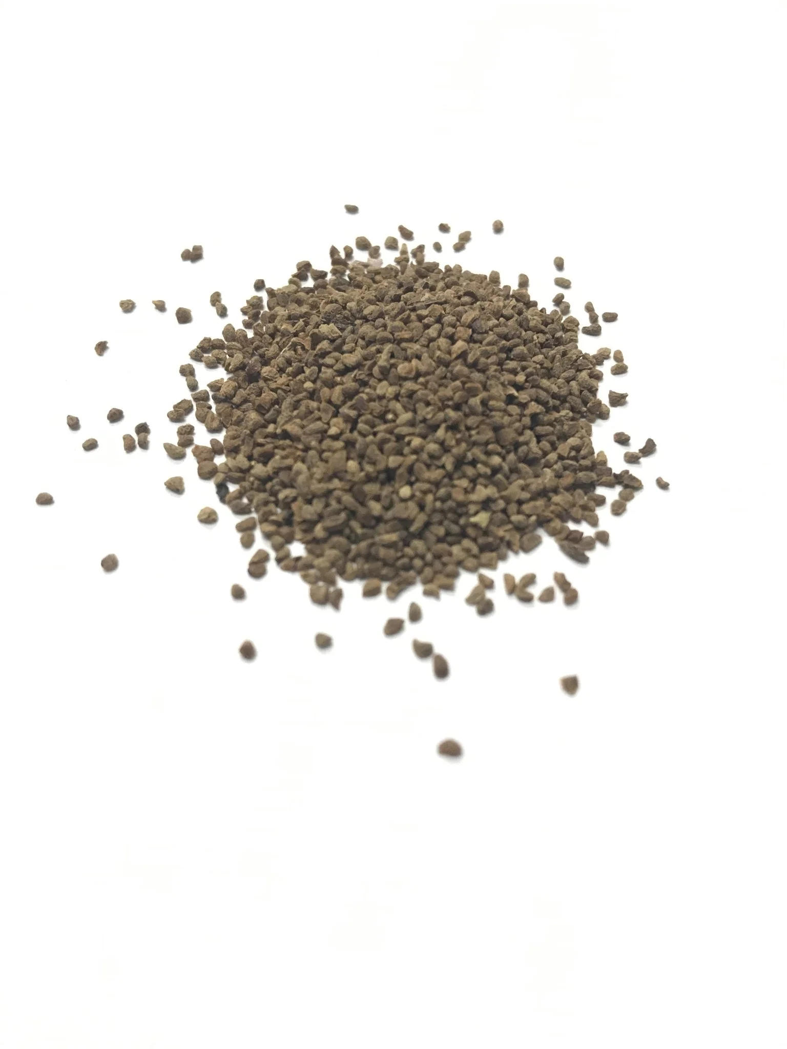 Rocky Mountain Penstemon - 3260 - Image 3