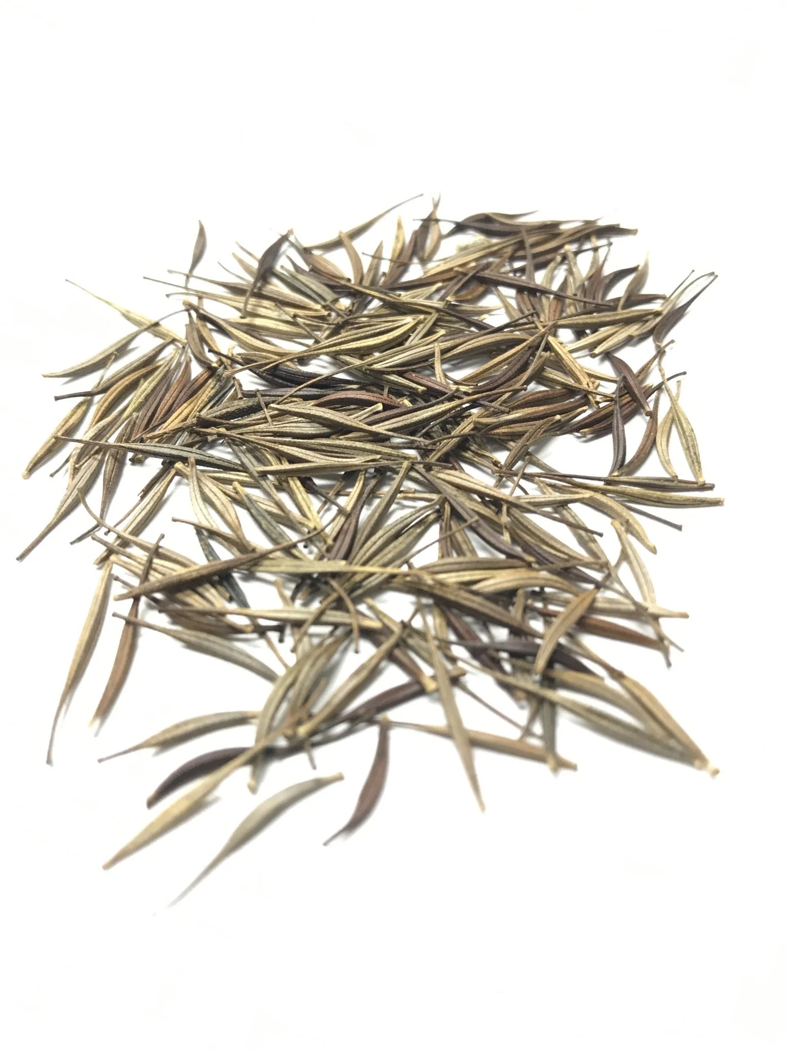 Yellow Cosmos - Klondyke - 3214 - Image 3